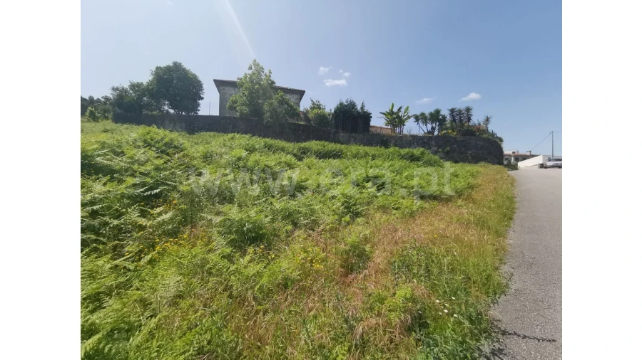 Terreno para Venda em Galegos Foto 3