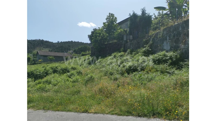 Terreno para Venda em Galegos Foto 5