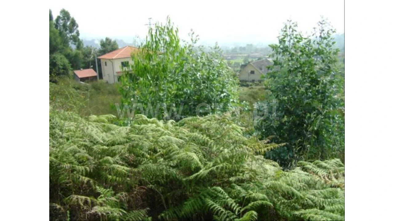 Terreno para Venda em Lanhoso Foto 4