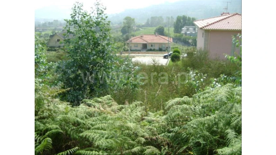 Terreno para Venda em Lanhoso Foto 3