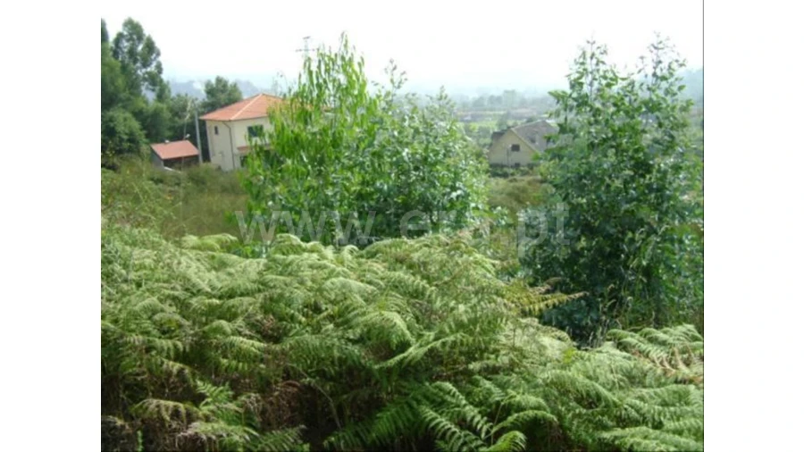 Terreno para Venda em Lanhoso Foto 4