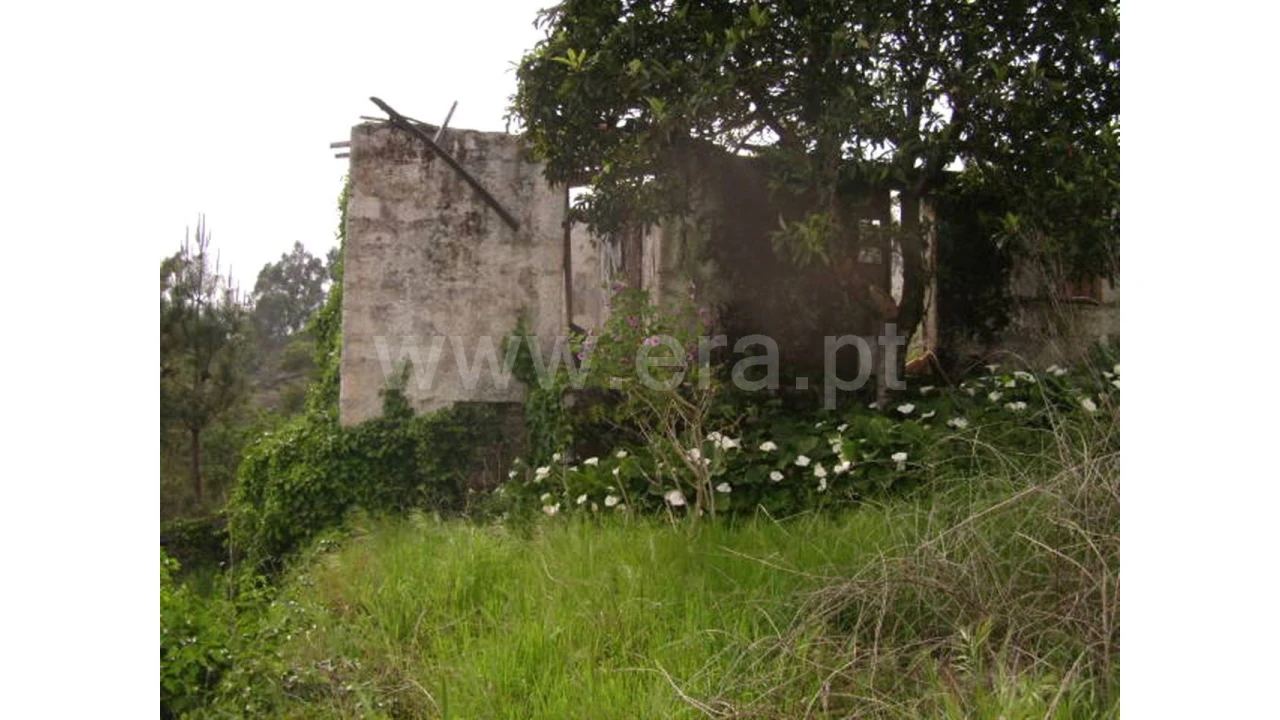 Moradia para Venda em Travassos Foto 2