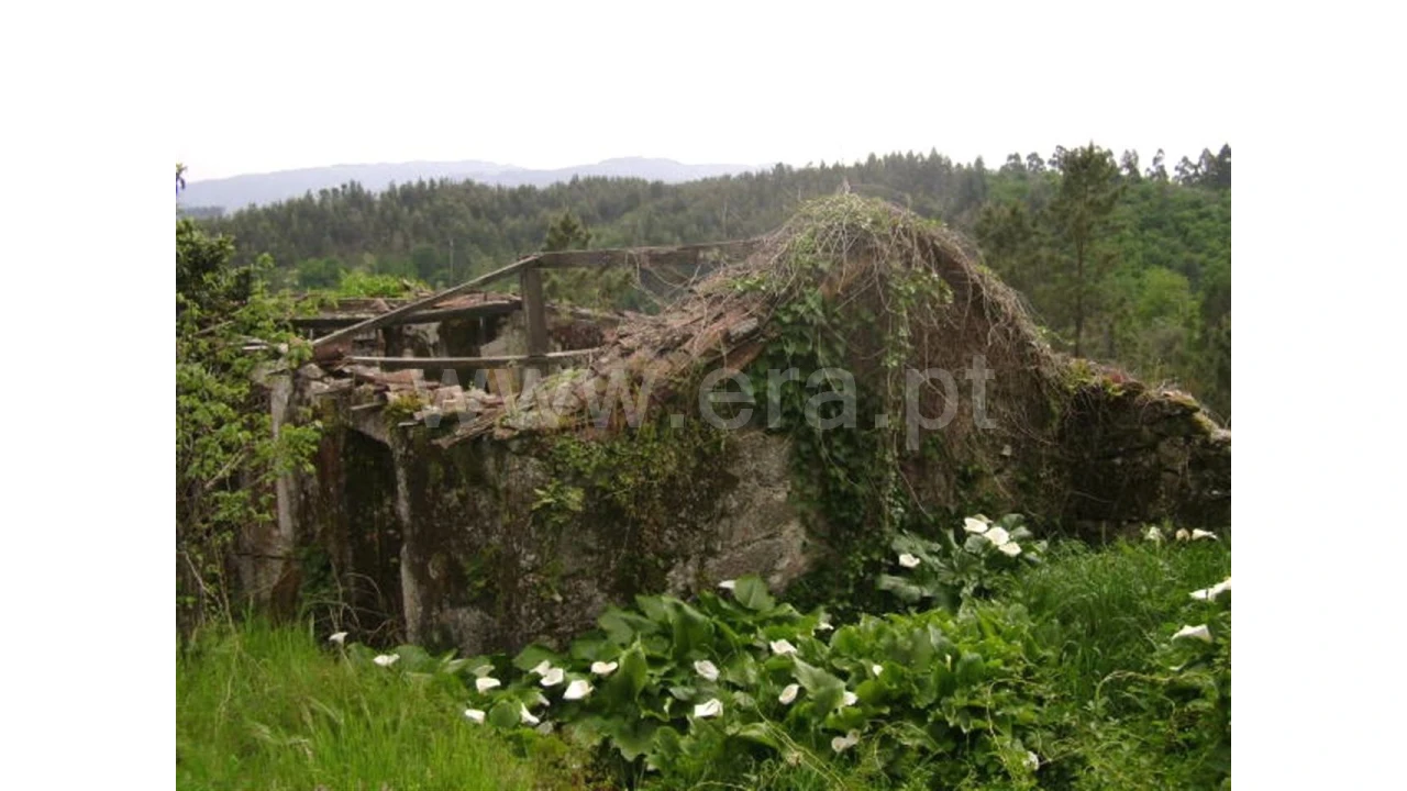 Moradia para Venda em Travassos Foto 3