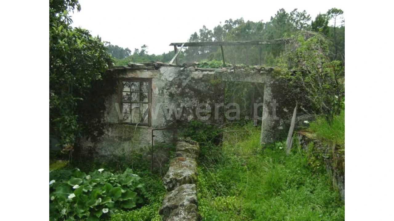 Moradia para Venda em Travassos Foto 5