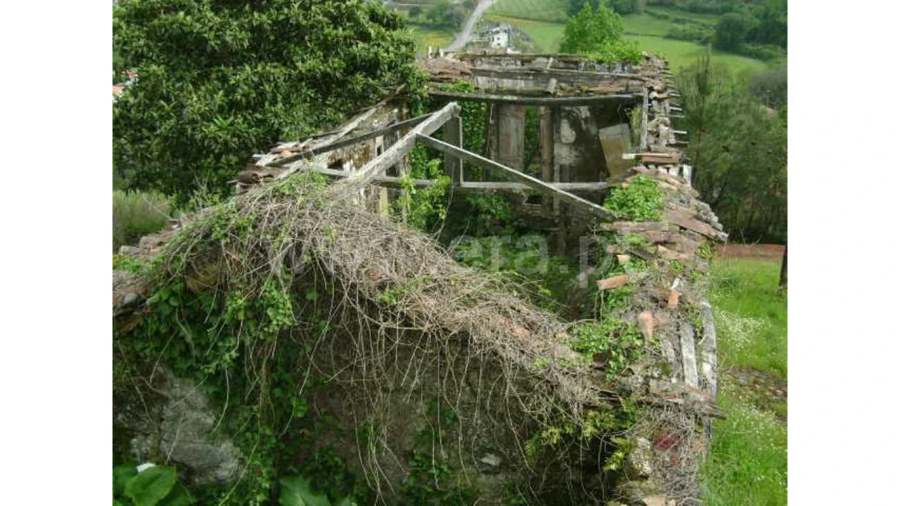 Moradia para Venda em Travassos Foto 8
