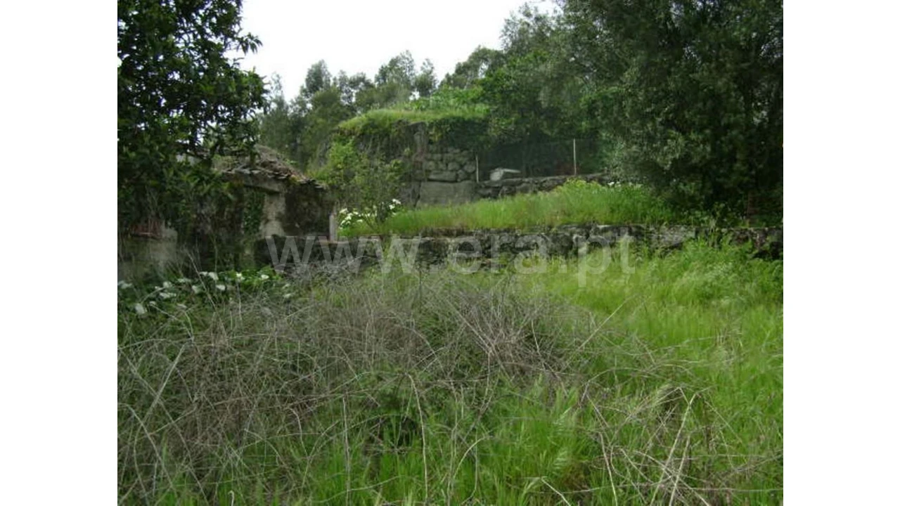 Moradia para Venda em Travassos Foto 9