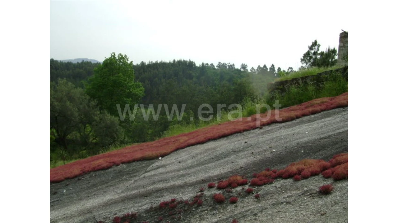 Moradia para Venda em Travassos Foto 12