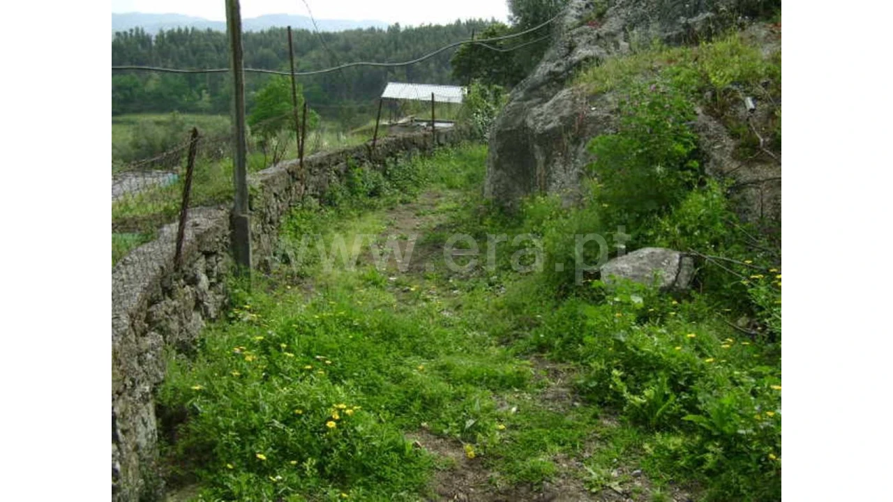 Moradia para Venda em Travassos Foto 19