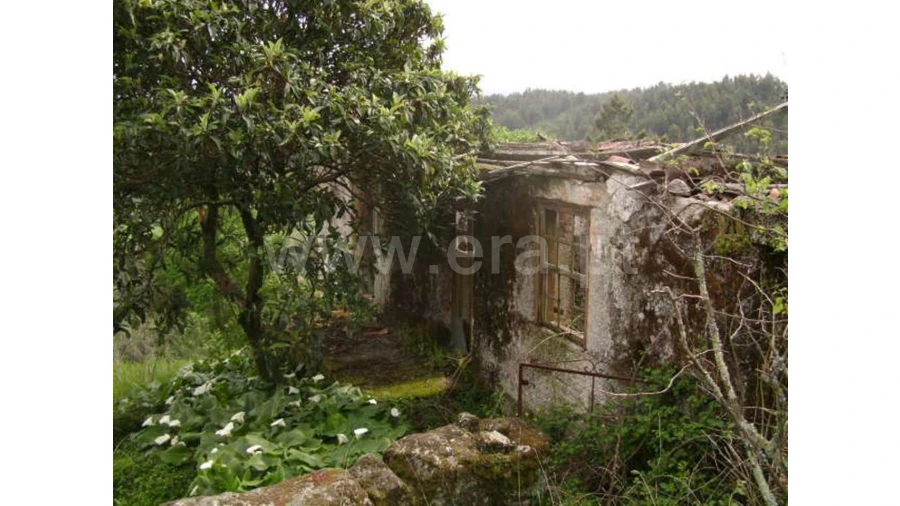 Moradia para Venda em Travassos Foto 6