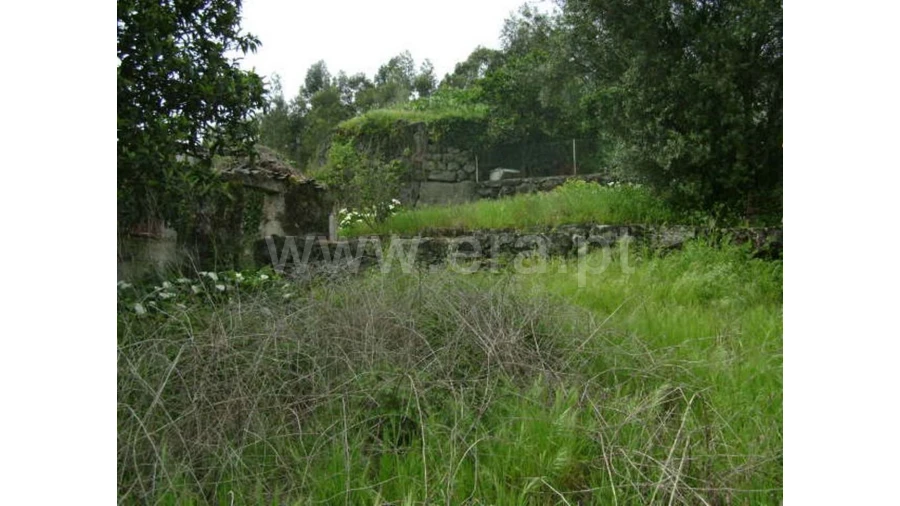 Moradia para Venda em Travassos Foto 9