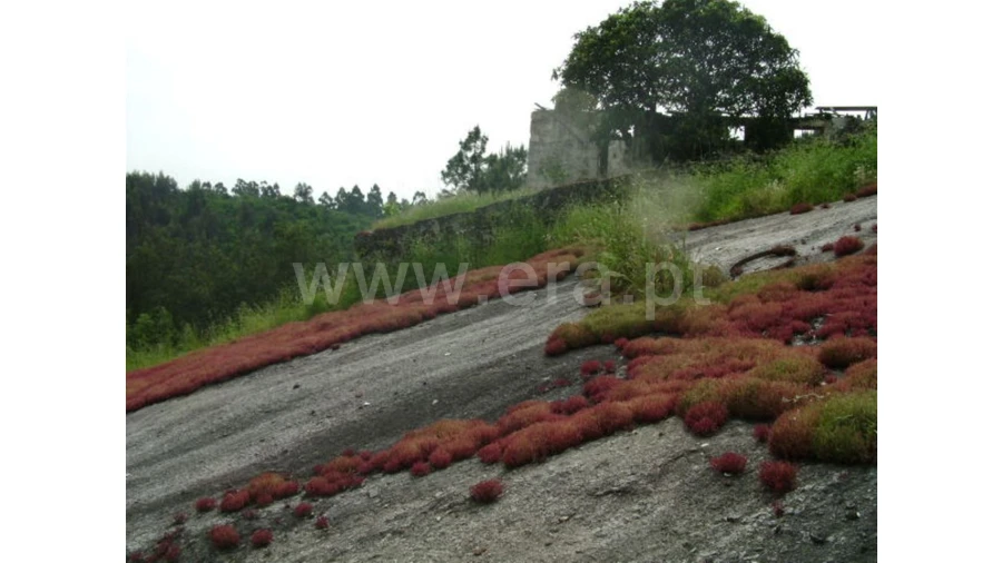 Moradia para Venda em Travassos Foto 11