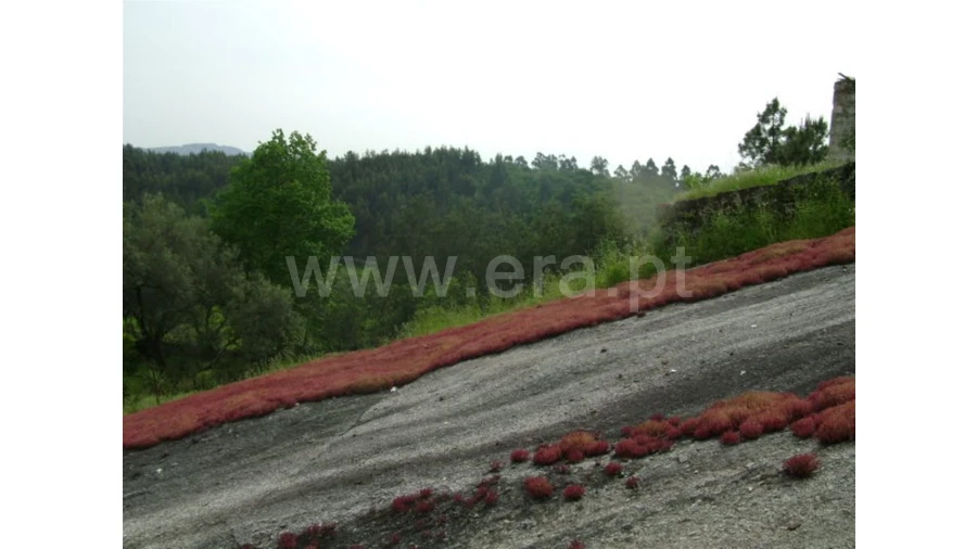 Moradia para Venda em Travassos Foto 12