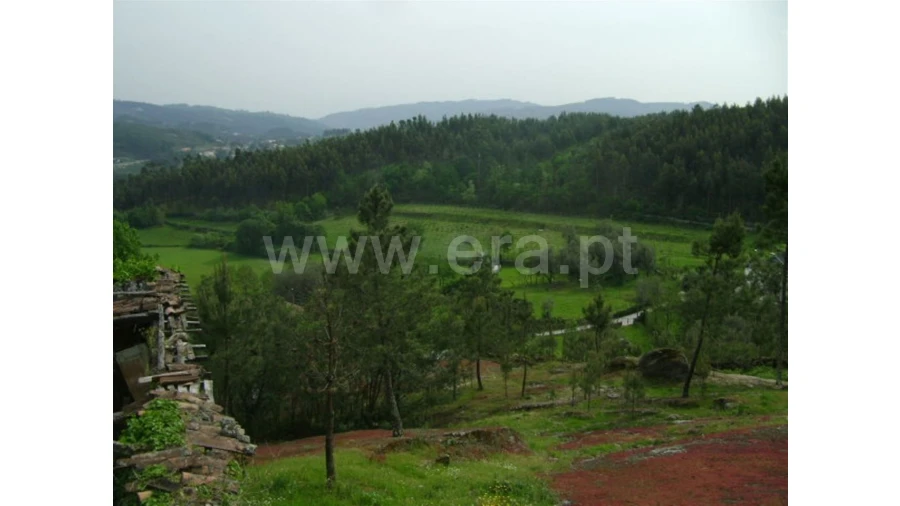 Moradia para Venda em Travassos Foto 14