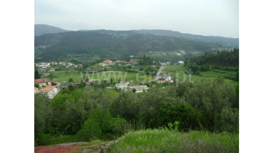 Moradia para Venda em Travassos Foto 18