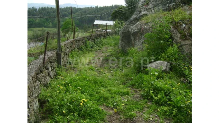 Moradia para Venda em Travassos Foto 19