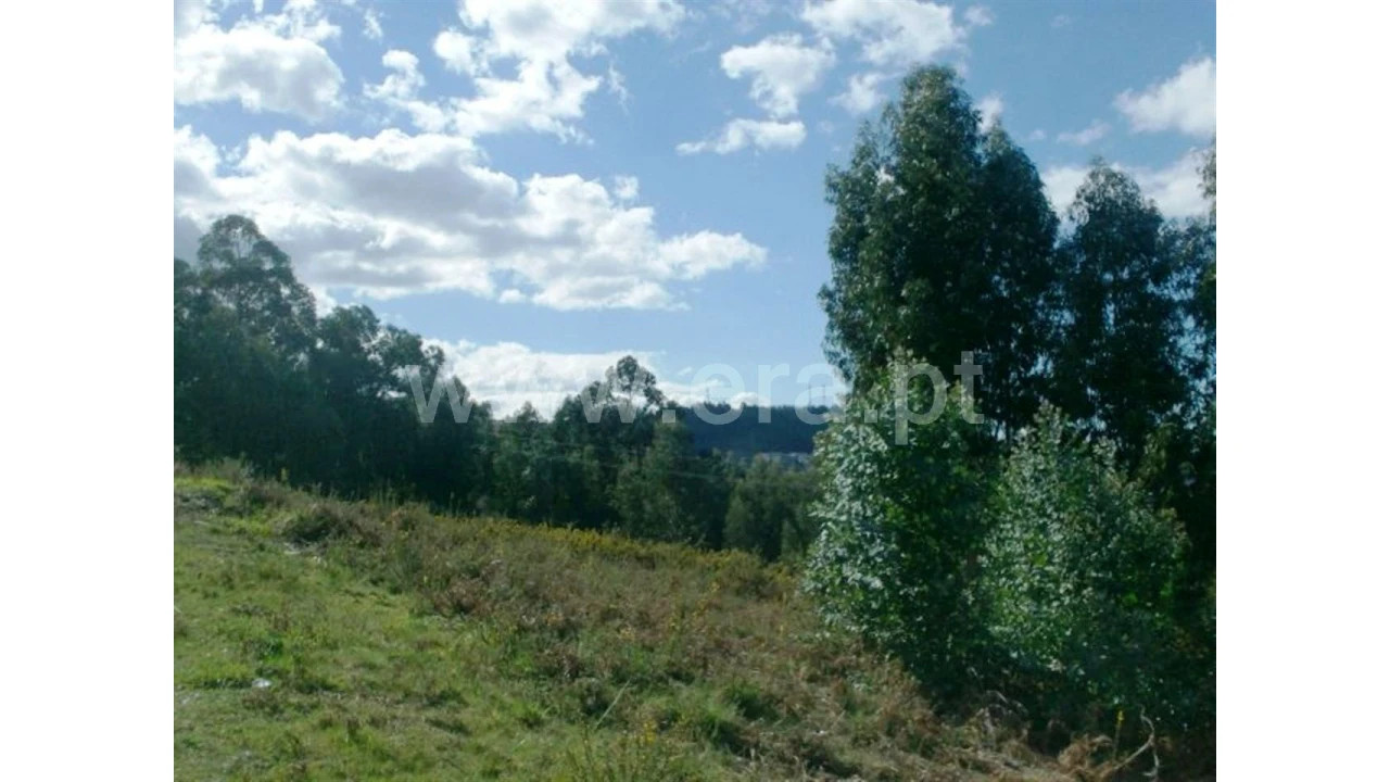 Terreno para Venda em Covelas Foto 5