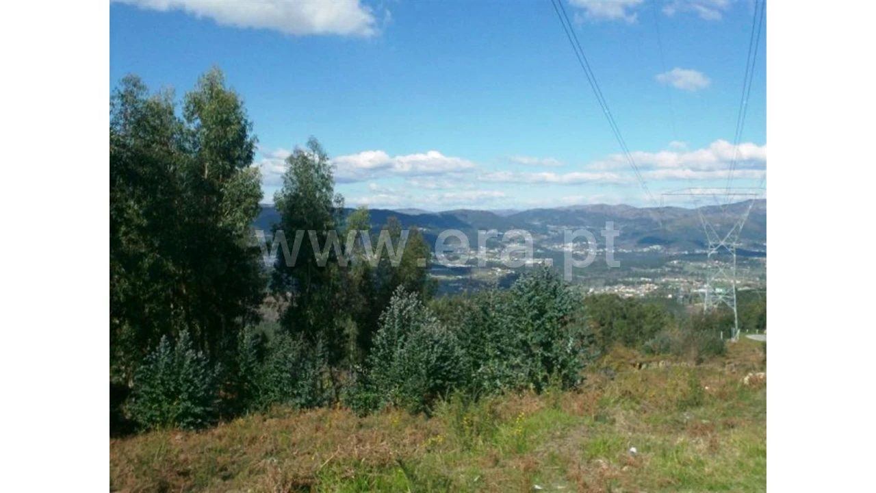 Terreno para Venda em Covelas Foto 6