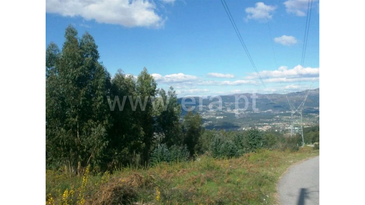 Terreno para Venda em Covelas Foto 10