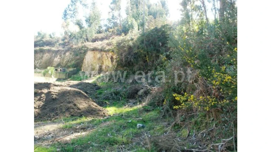 Terreno para Venda em Covelas Foto 2
