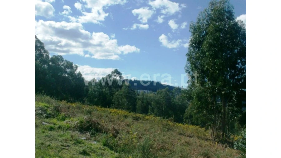 Terreno para Venda em Covelas Foto 7