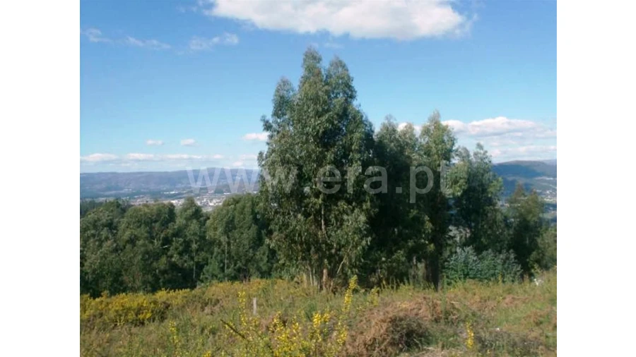 Terreno para Venda em Covelas Foto 8