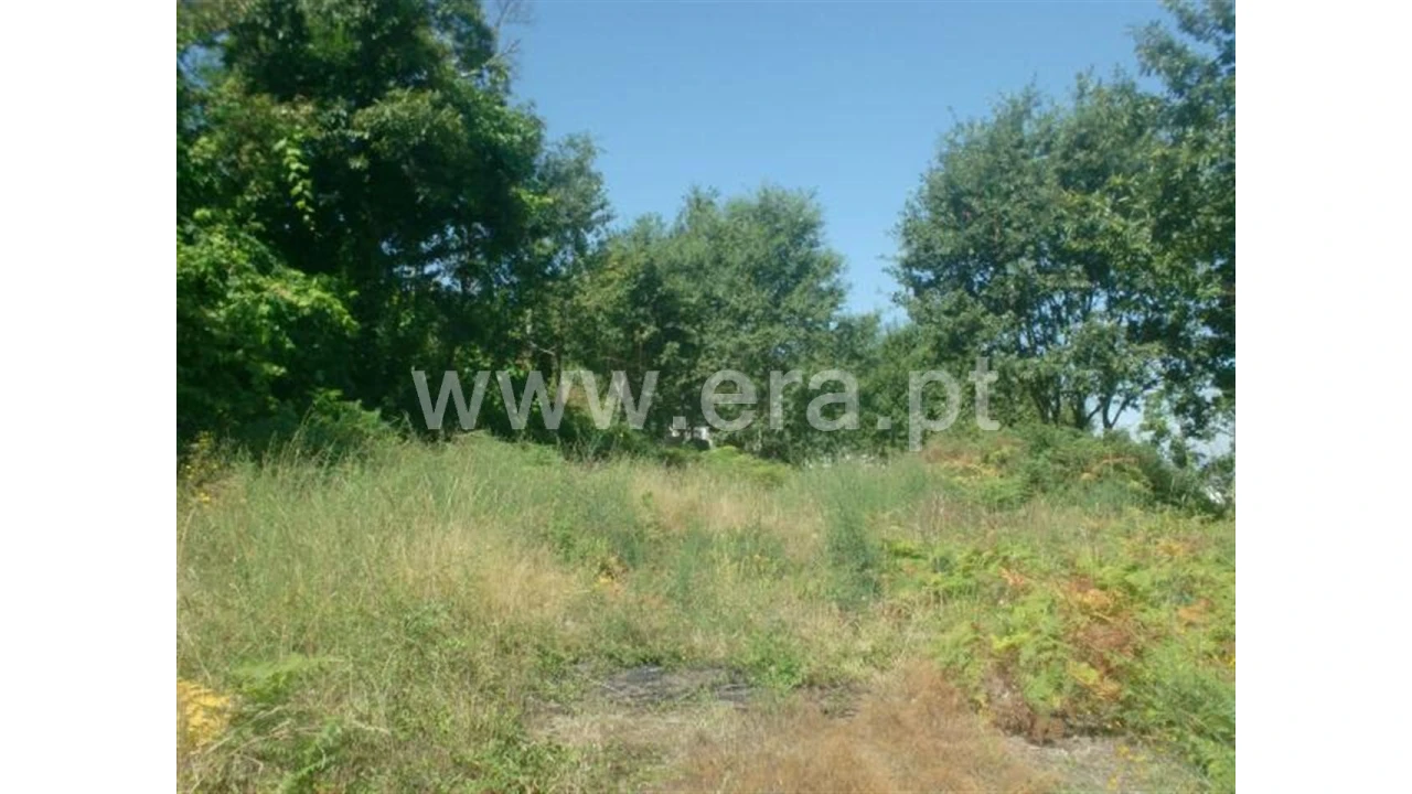 Terreno para Venda em Lanhoso Foto 2