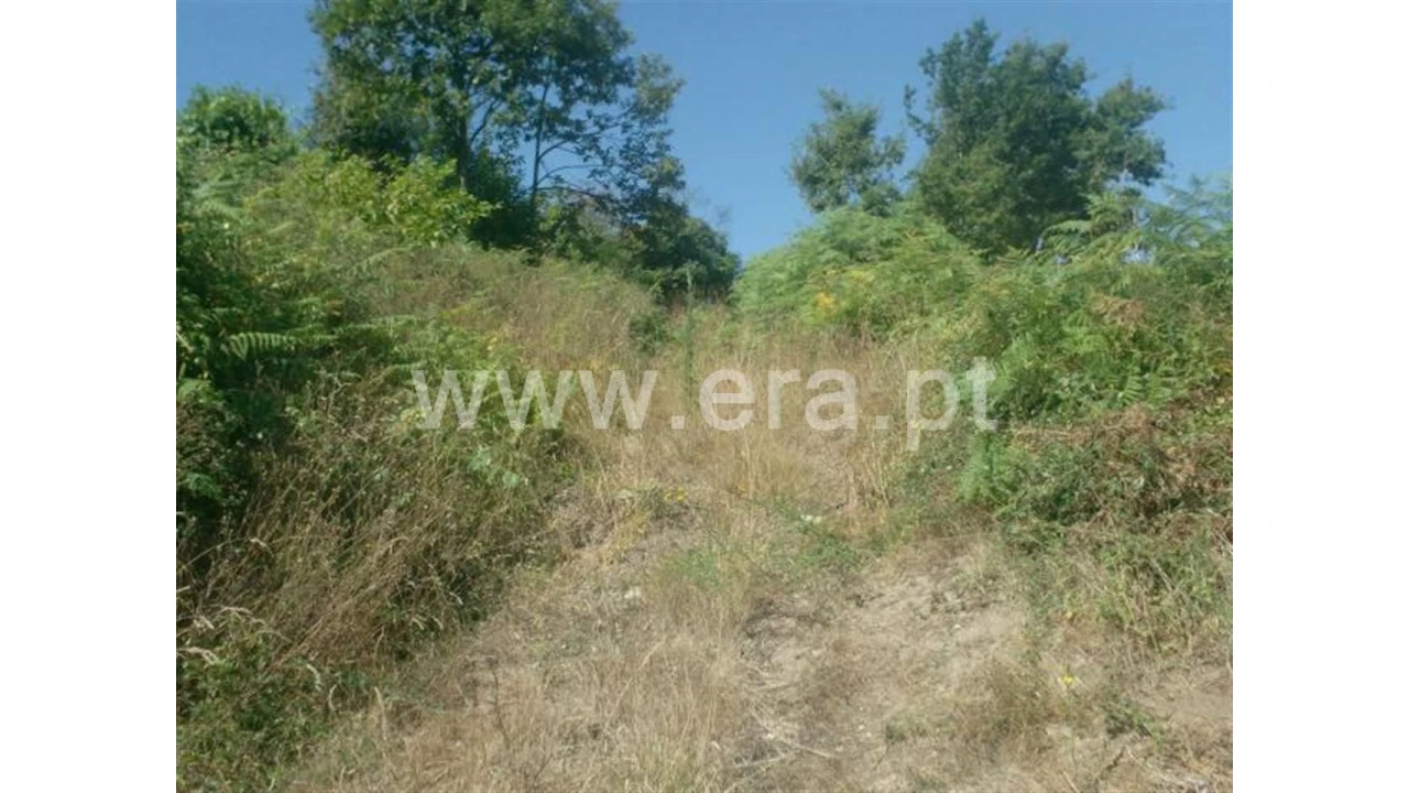 Terreno para Venda em Lanhoso Foto 3