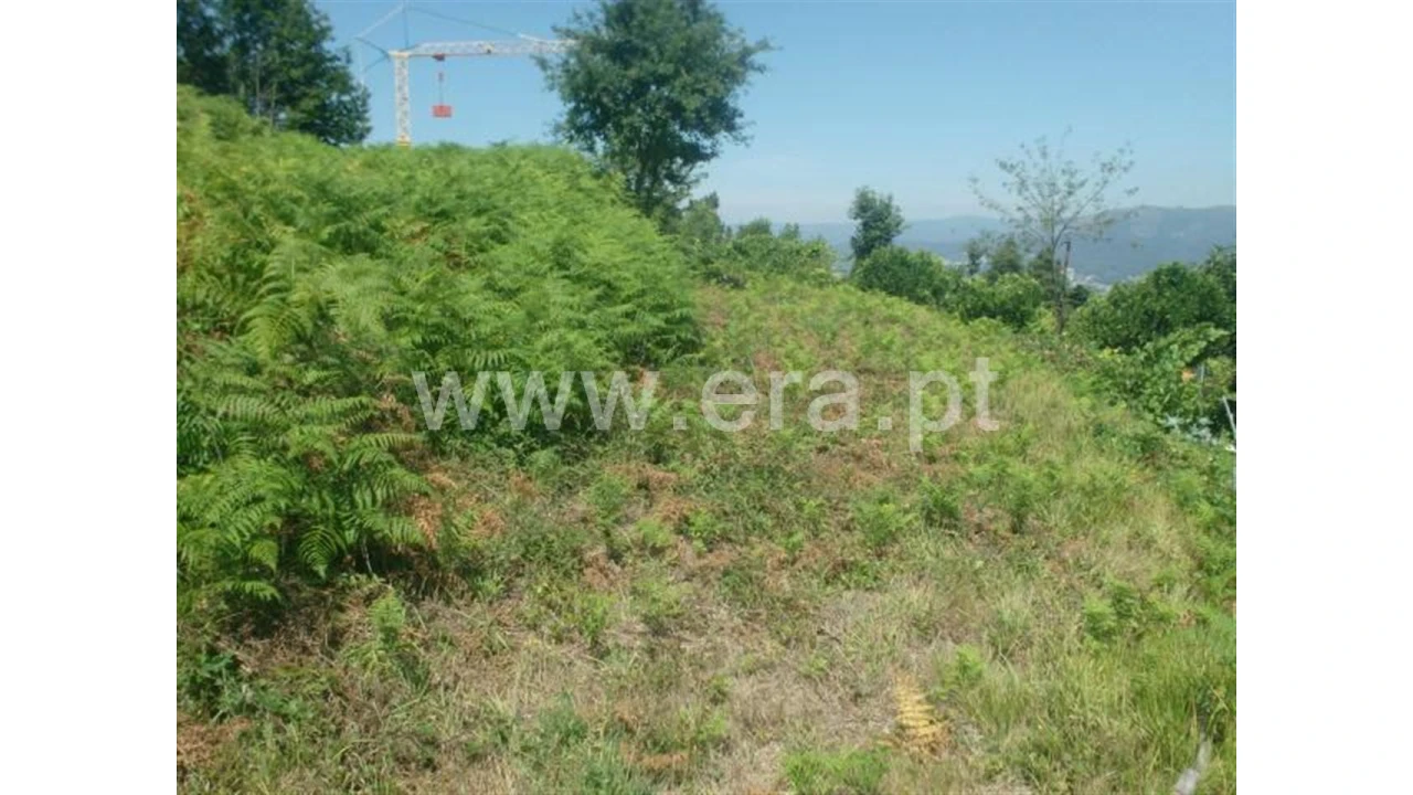 Terreno para Venda em Lanhoso Foto 4