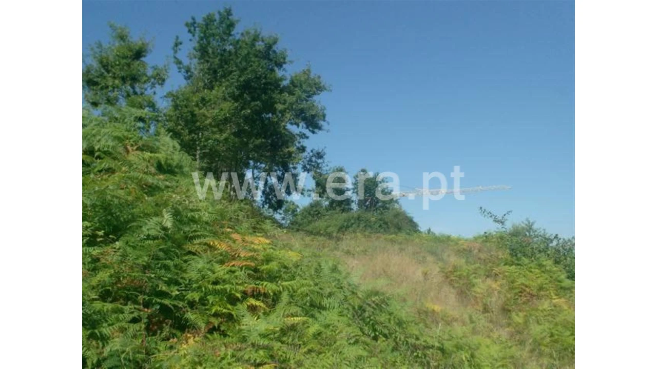 Terreno para Venda em Lanhoso Foto 5