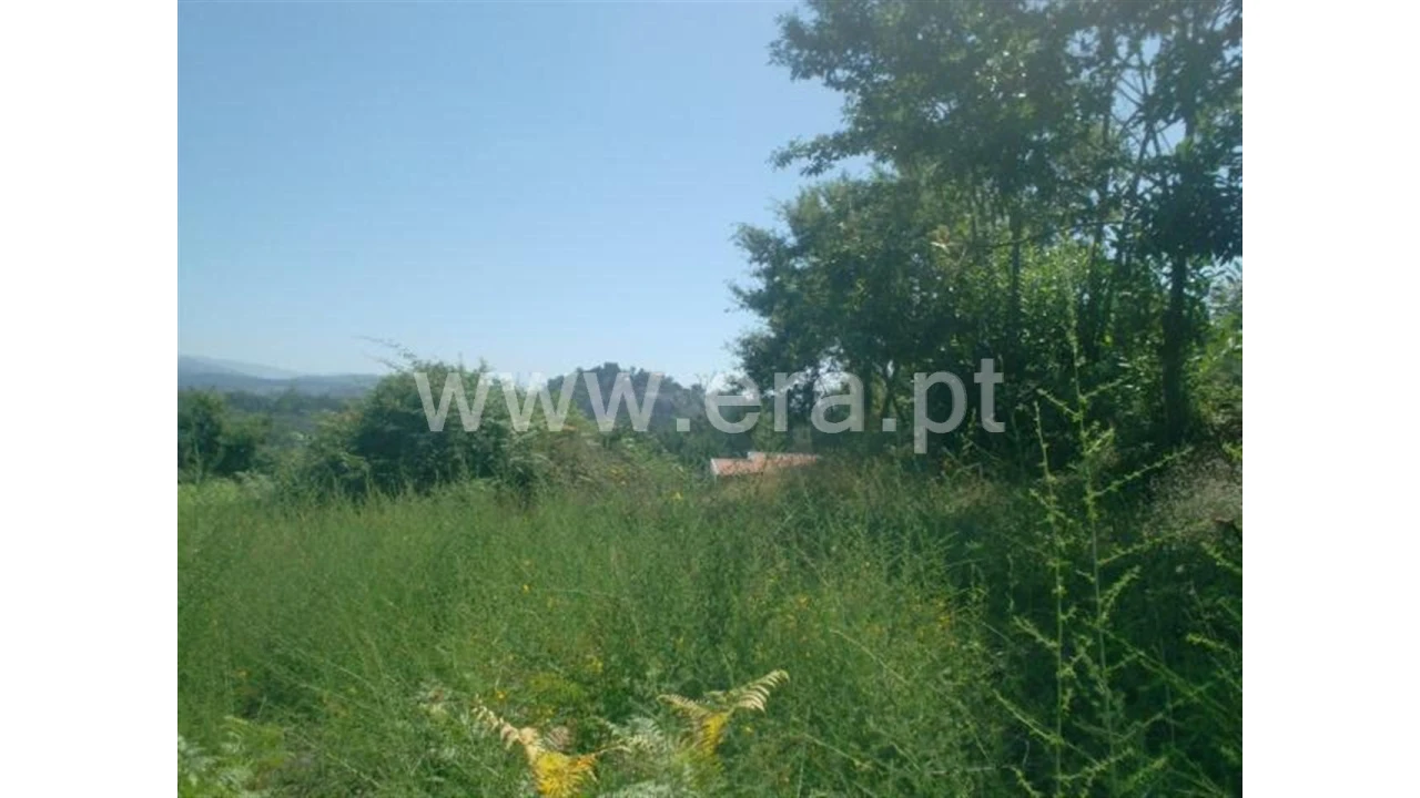 Terreno para Venda em Lanhoso Foto 7