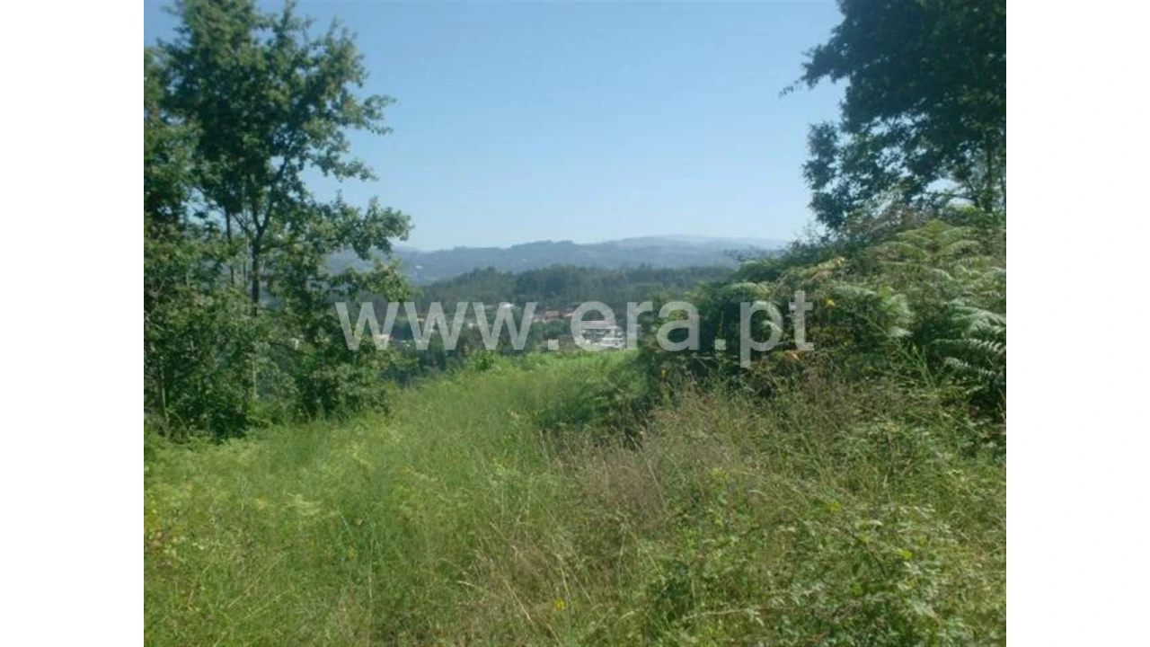 Terreno para Venda em Lanhoso Foto 9