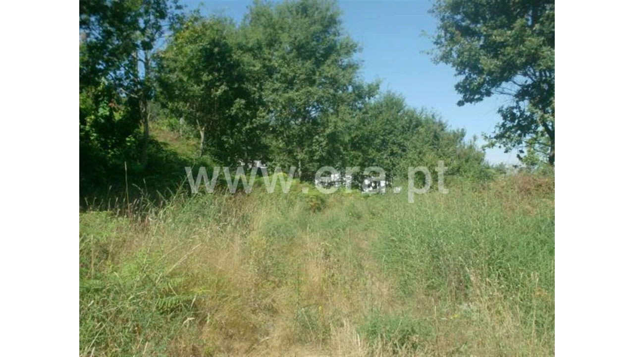 Terreno para Venda em Lanhoso Foto 10