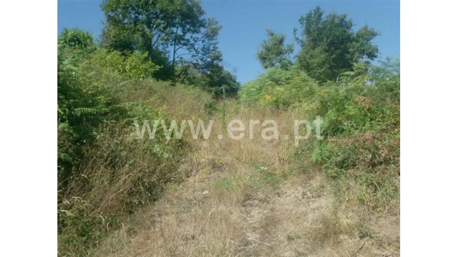 Terreno para Venda em Lanhoso Foto 3