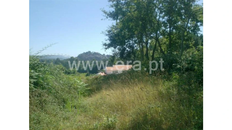 Terreno para Venda em Lanhoso Foto 8