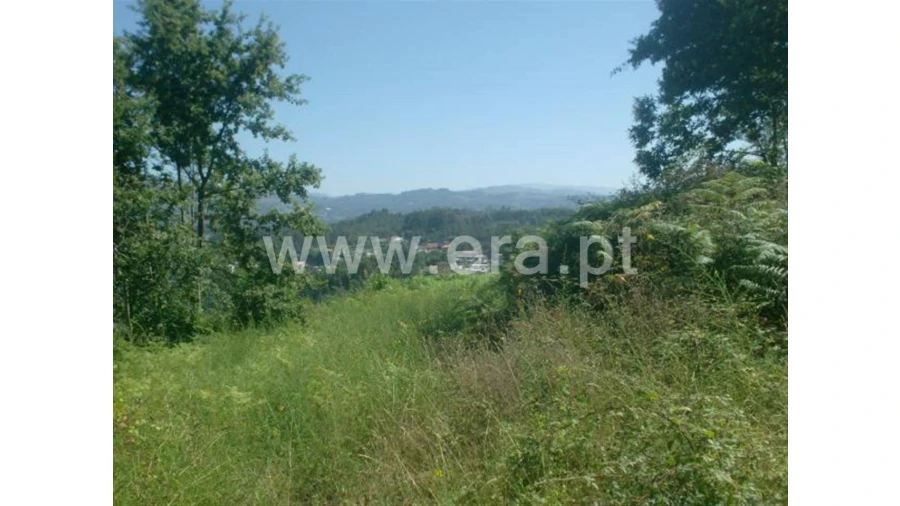 Terreno para Venda em Lanhoso Foto 9