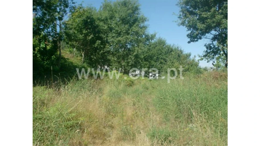 Terreno para Venda em Lanhoso Foto 10