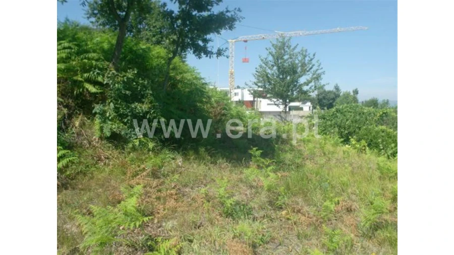 Terreno para Venda em Lanhoso Foto 11