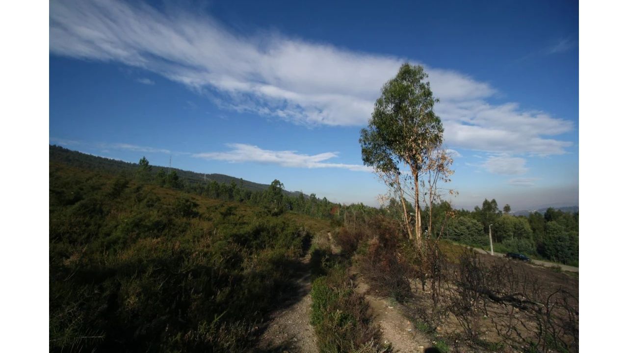 Terreno para Venda em Recarei Foto 6