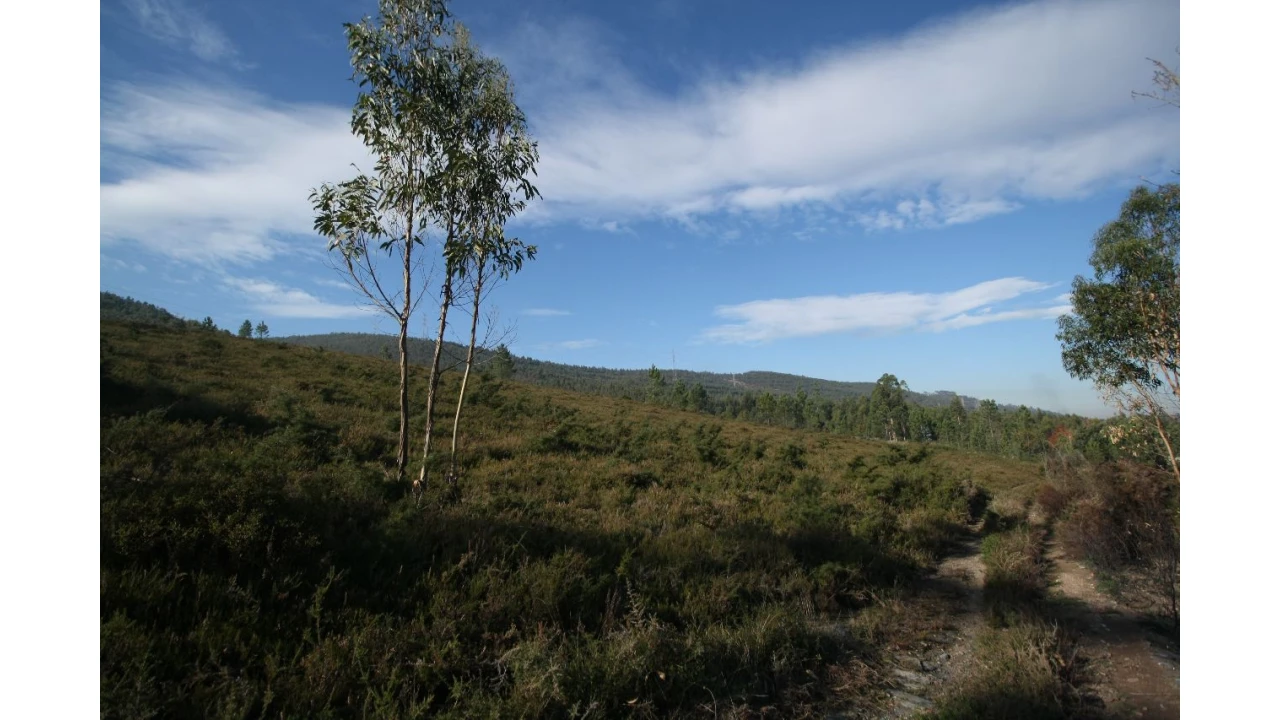 Terreno para Venda em Recarei Foto 12