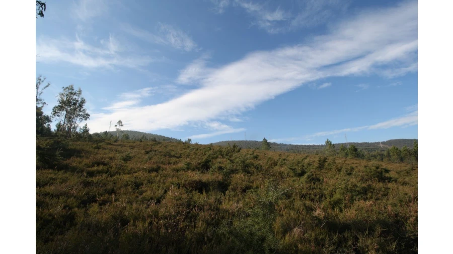 Terreno para Venda em Recarei Foto 4