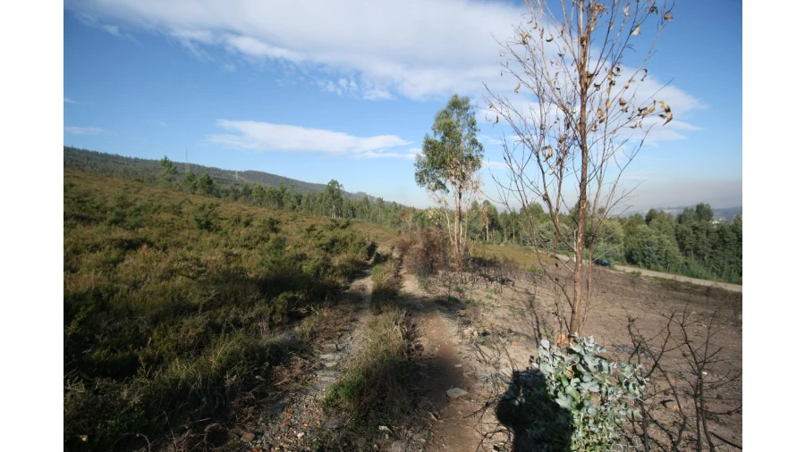 Terreno para Venda em Recarei Foto 19