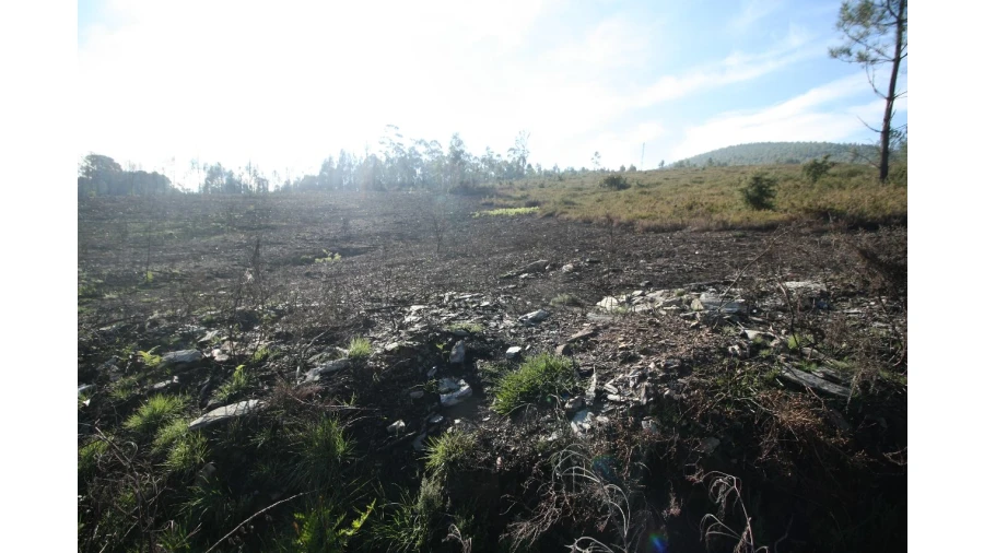 Terreno para Venda em Recarei Foto 20
