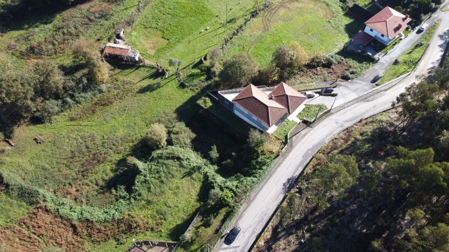 Terreno para Venda em Lanhoso Foto 5