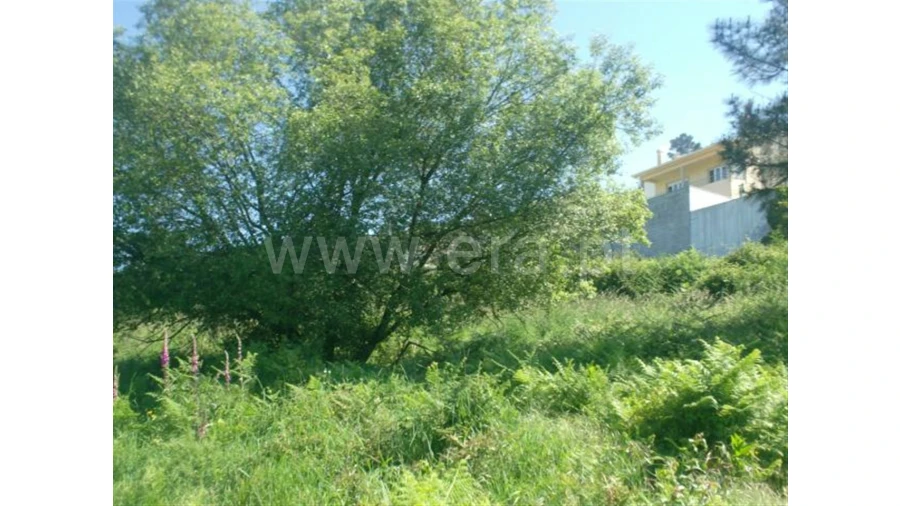 Terreno para Venda em Póvoa de Lanhoso Foto 7