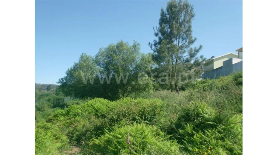 Terreno para Venda em Póvoa de Lanhoso Foto 8