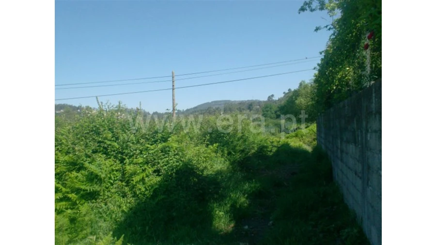 Terreno para Venda em Póvoa de Lanhoso Foto 11