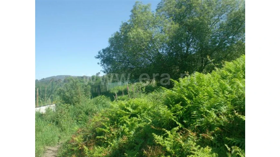 Terreno para Venda em Póvoa de Lanhoso Foto 19