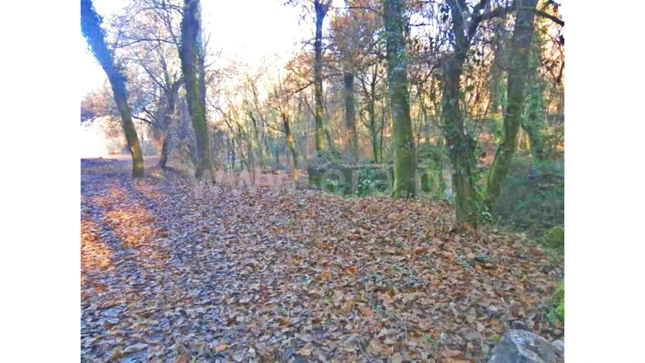 Moradia para Venda em Garfe Foto 1