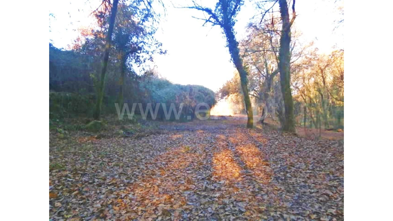 Moradia para Venda em Garfe Foto 2