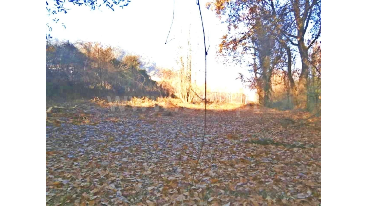 Moradia para Venda em Garfe Foto 5